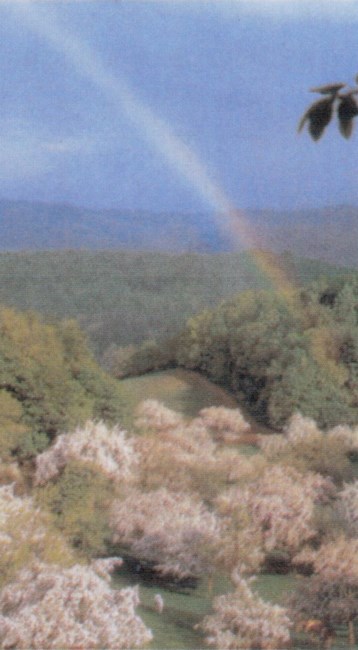 Obituary of Edith Margaret Carlson