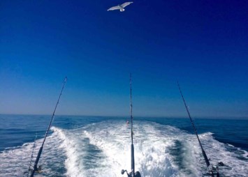 Obituary of Jorge Gomez