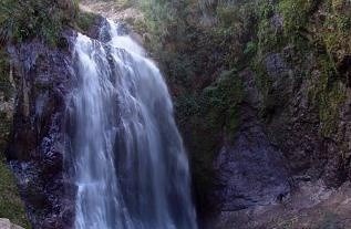 Avis de décès de William "Wilo" García Rodríguez