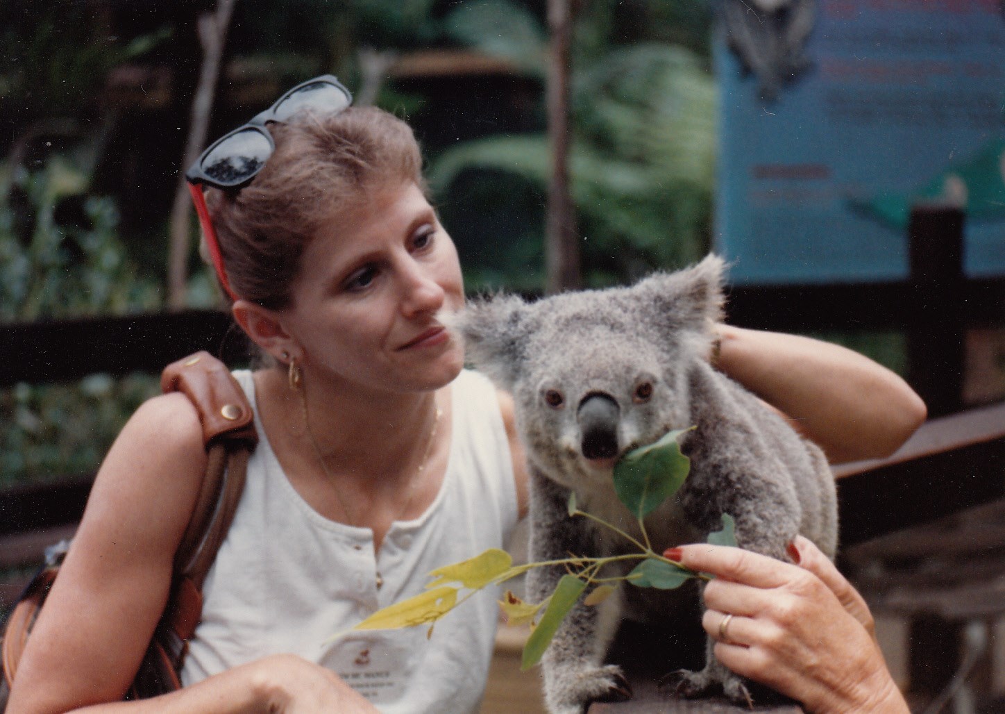 Obituary of Kimberly Lynn McManus