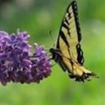Obituary of Teresa Glee Shaw (Smith)