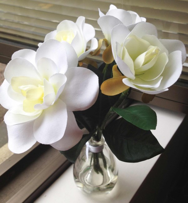 Obituary of Barbara Ann Russo