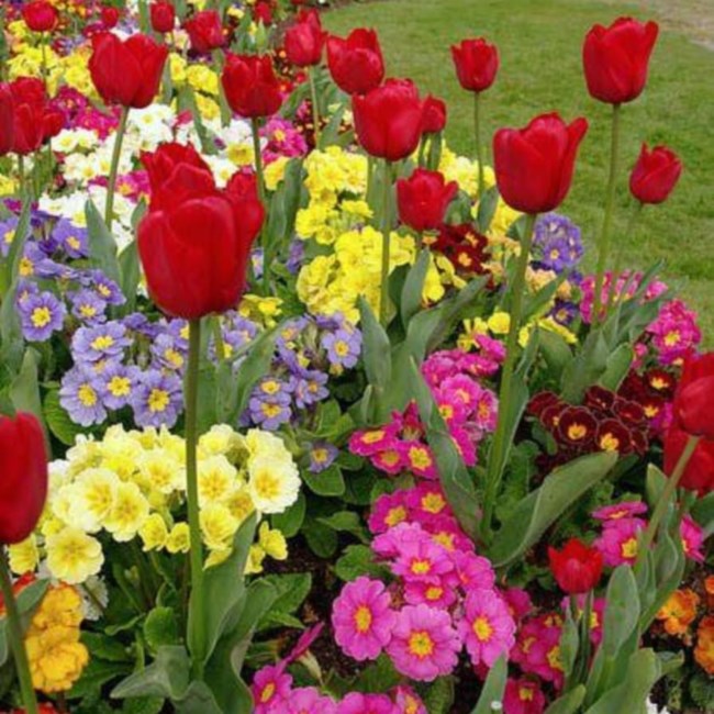 Obituary of Donna Jean Boyce