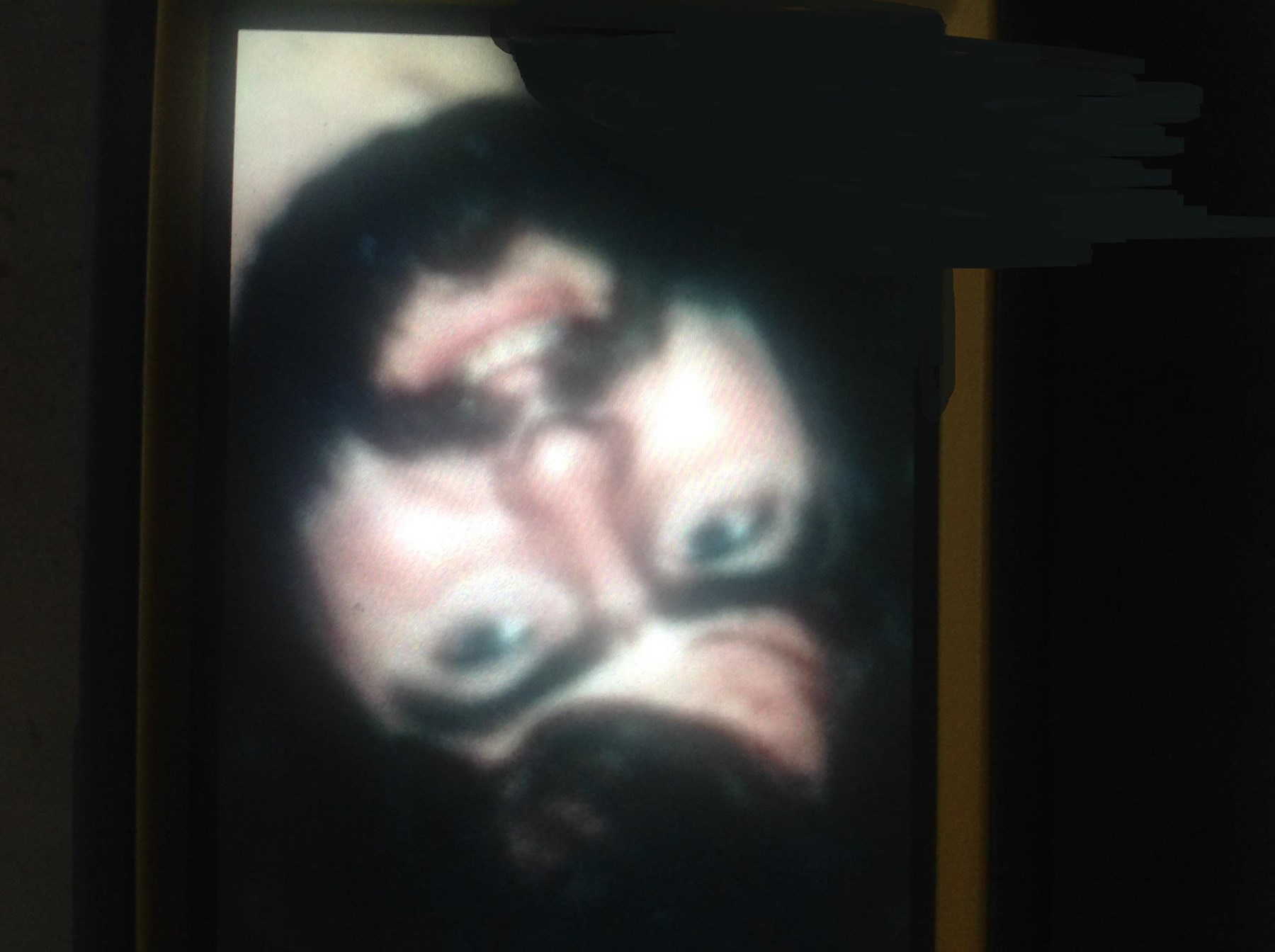 Obituary of Gary James Holm