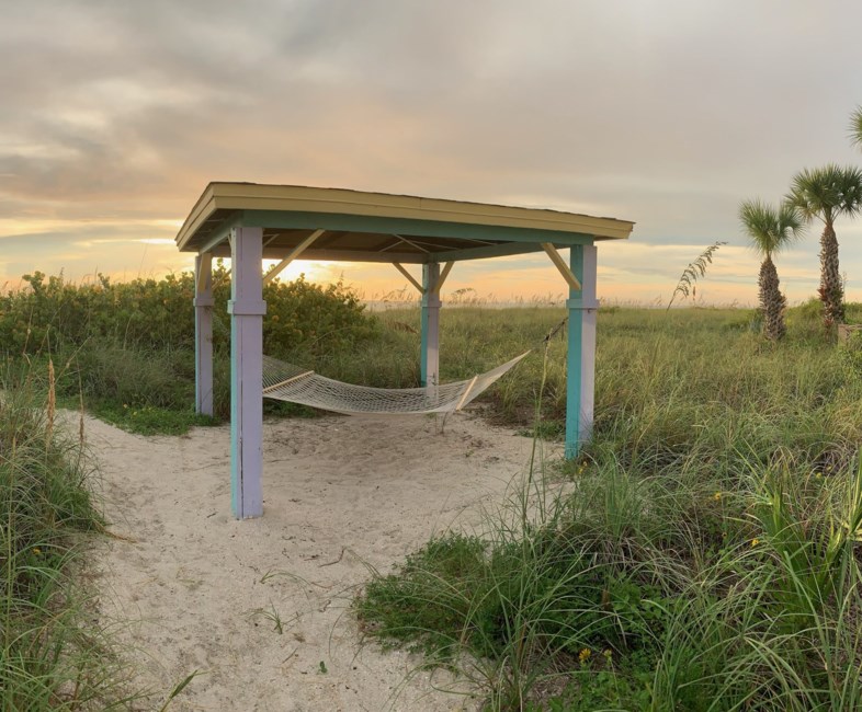 Obituary of Shirley Livina Lewis