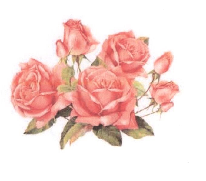 Obituary of Juanita Iris Rood