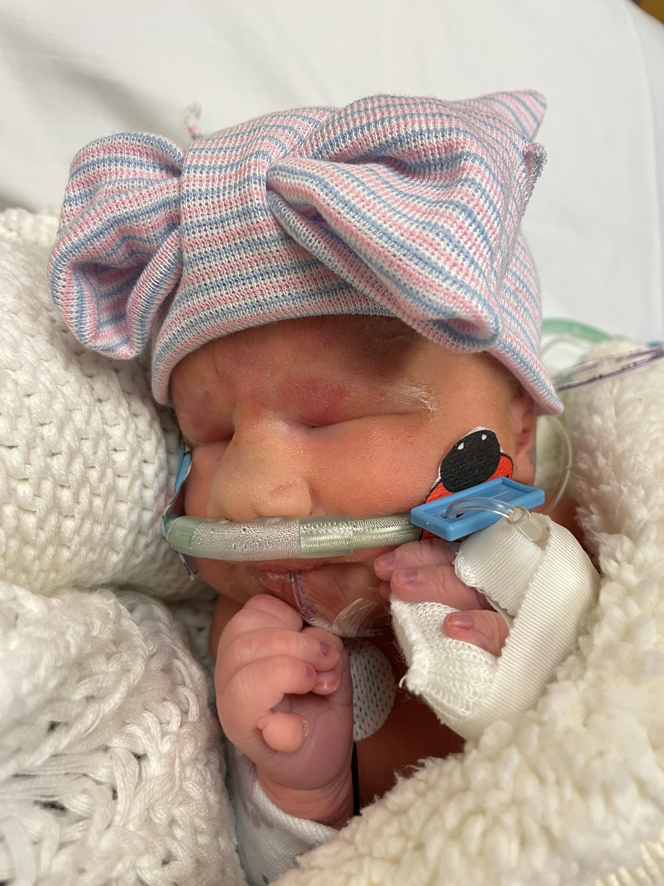 Obituary of Suzanna Hope DeMasi