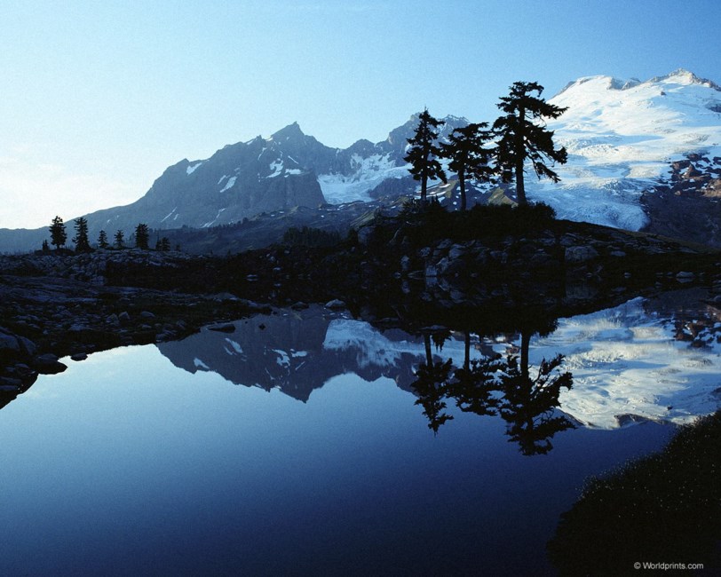 Obituary of Joan Faye Douglas Grimm