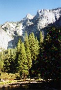 Obituary of Gregory Eugene Dominguez