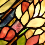Mary Mattioli