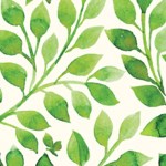 Cheryl L Gross