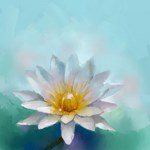Richard Chu